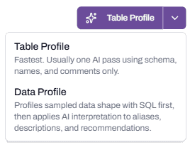 The Table Profile button with its dropdown open, showing both Table Profile and Data Profile options with their descriptions.