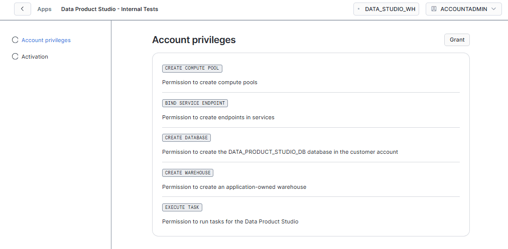 The Account privileges wizard showing each privilege with its Grant button and description.
